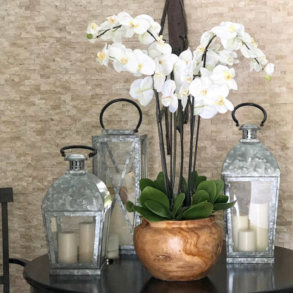 Große Schale aus Teakholz mit weißen Orchideen
