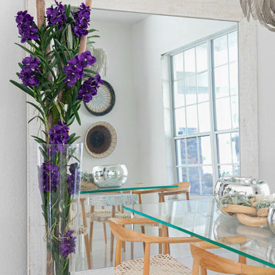 Lila Vanda Orchideen und Treibholz in einem konischen Glaszylinder