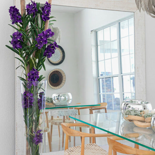Lila Vanda Orchideen und Treibholz in einem konischen Glaszylinder