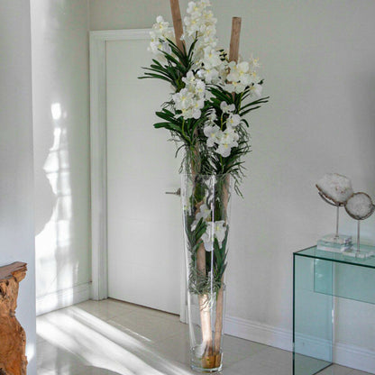 Weiße Vanda-Orchideen mit Treibholz in einem großen konischen Glaszylinder