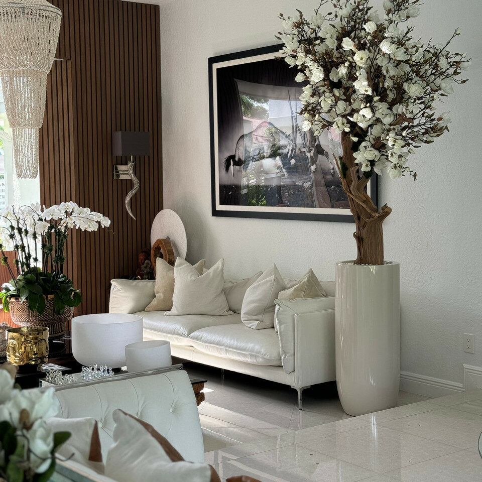 Weißer Magnolienbaum im glänzenden St. Tropez Beige Topf