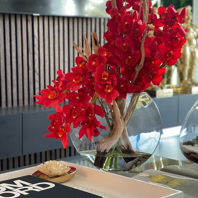Rote Cymbidium-Orchideen im Mond-Pflanzgefäß
