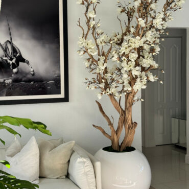 Weißer Magnolienbaum im glänzend weißen Kugeltopf, 76 cm