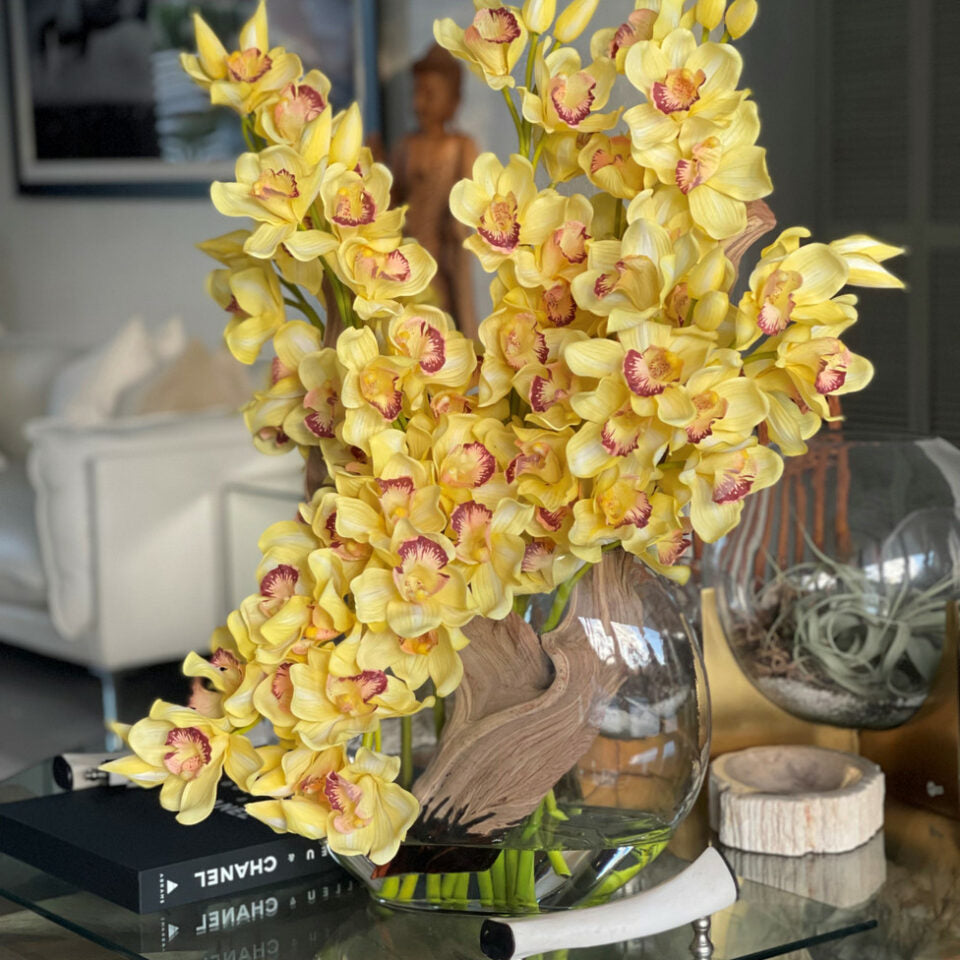 Gelbe Cymbidium-Orchideen in Mondvase