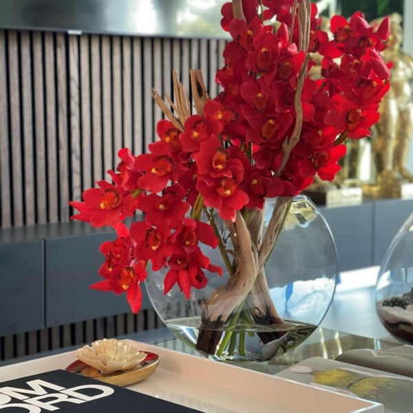 Rote Cymbidium-Orchideen im Mond-Pflanzgefäß