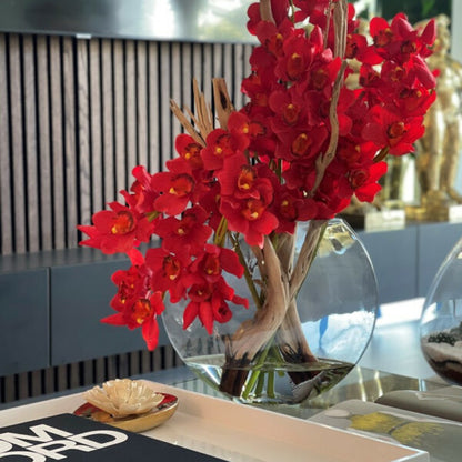 Rote Cymbidium-Orchideen im Mond-Pflanzgefäß