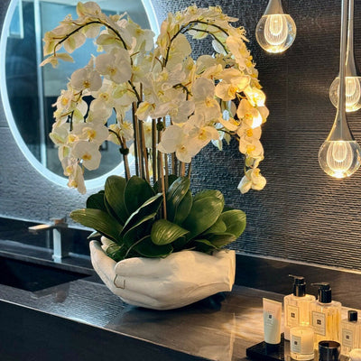 Weißer Phalaenopsis-Orchideenstrauß in Vase mit Skulptur 