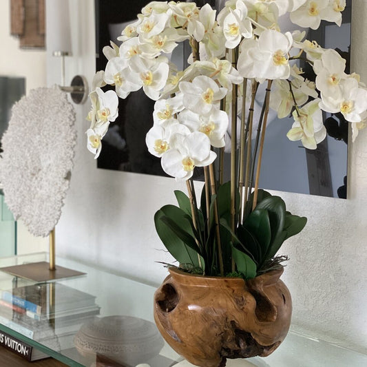 Große Schale aus Teakholz mit weißen Orchideen